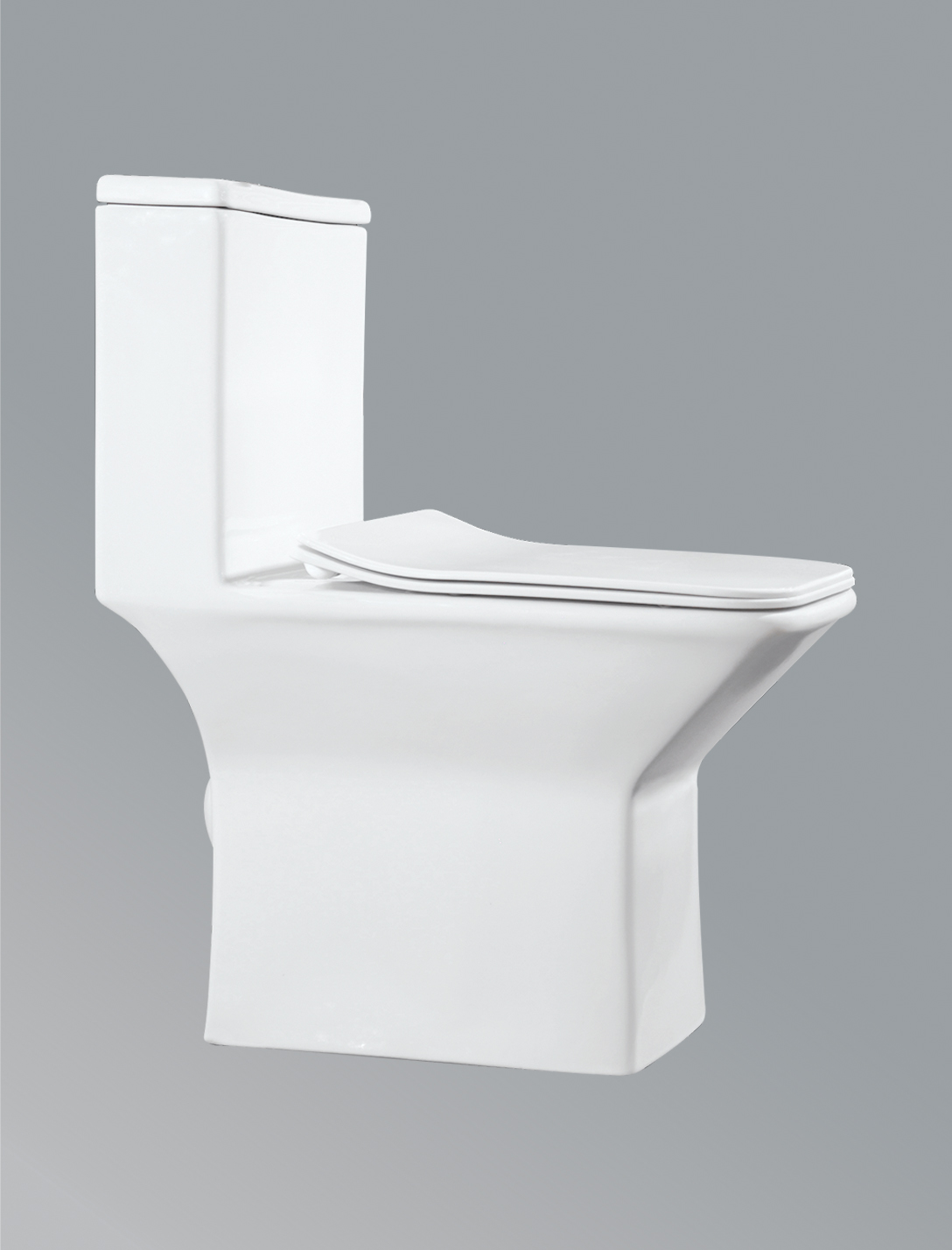 One-piece toilet with soft-close seat cover in white S-300